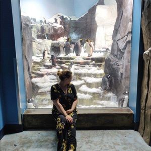 Meet your Posher, Fall